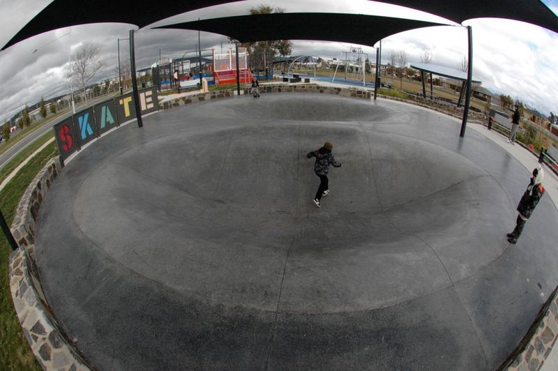 Franklin Dish