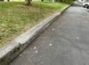 Freeman St Ledges 