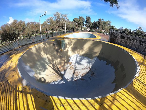 Fulham Gardens Skatepark