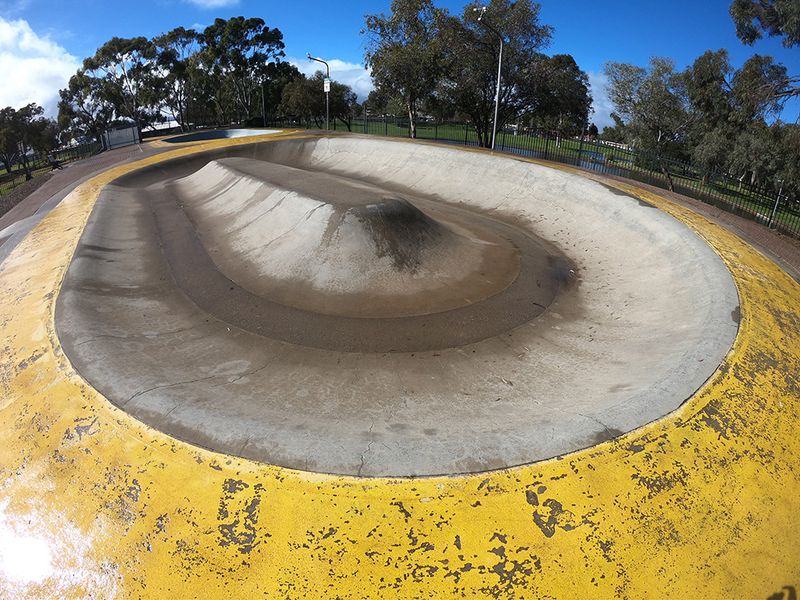 Fulham Gardens Skatepark