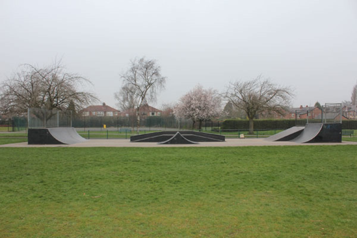 Gatley Park Statepark skatepark