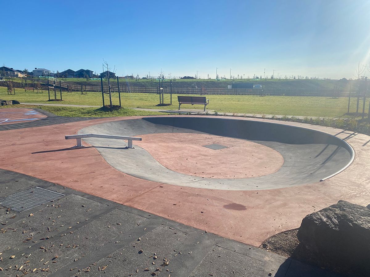 Gen Fynsford Dish skatepark