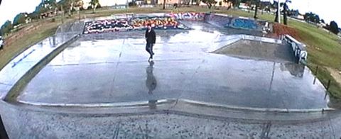 Wonthella Skate Park photo 14