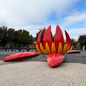 Big Lotus 