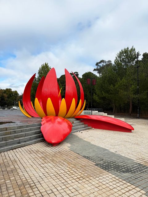 Big Lotus photo 2