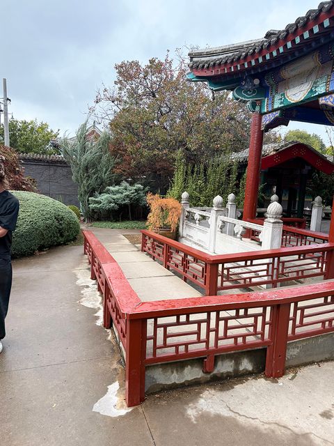 Golden Dragon Overrail photo 2