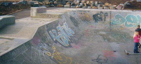 Golden Grove Skatepark photo 5