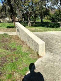 Boddington Ledge