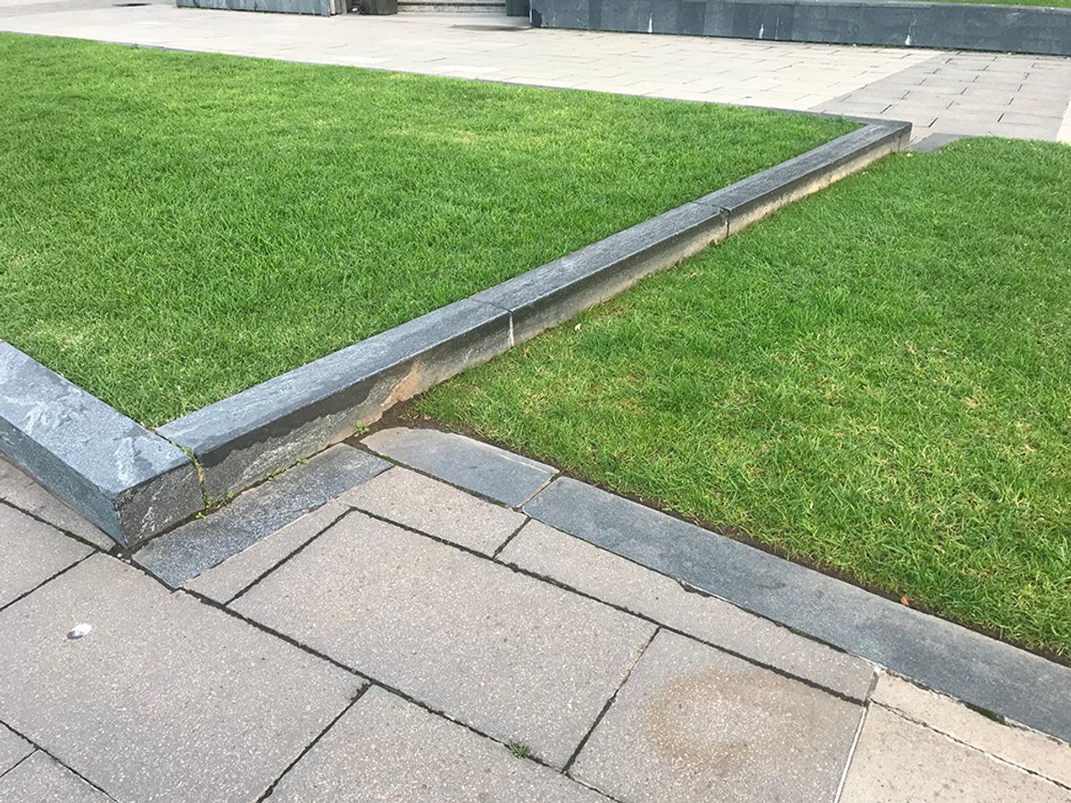 Grass Curb skate spot