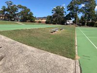 Bellingara Grass Gap