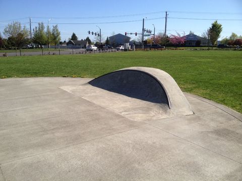 Gretchen Fraser Skatepark photo 2