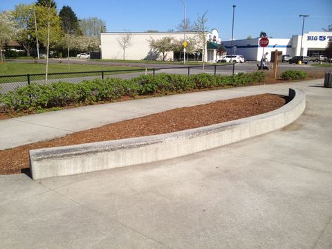 Gretchen Fraser Skatepark photo 3