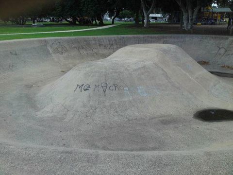 Nelson Park Skatepark photo 7