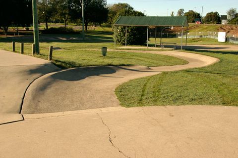 Nelson Park Skatepark photo 11
