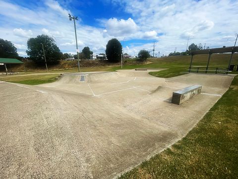 Nelson Park Skatepark photo 2