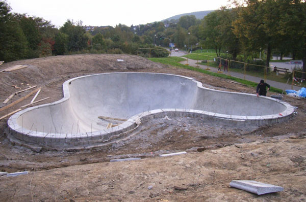 Micky Mouse Pool