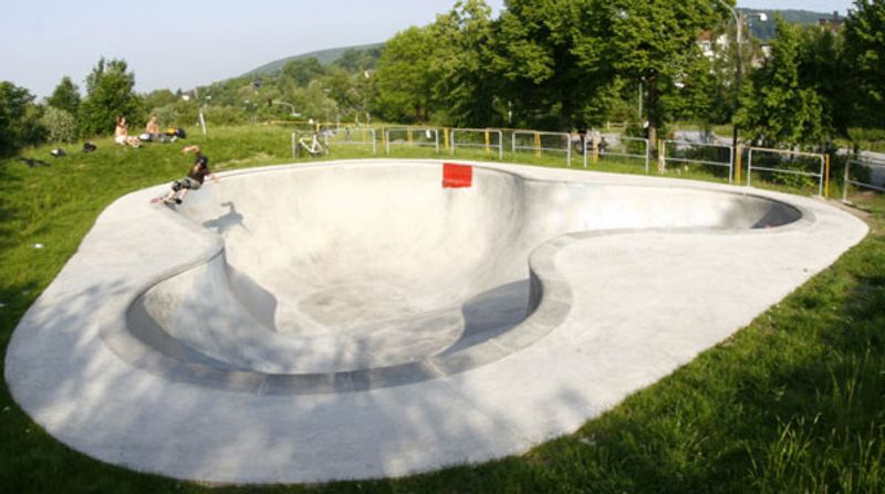 Micky Mouse Pool
