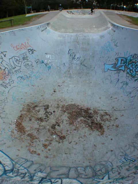 Melville Park Bowl photo 2