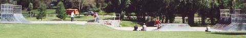 Healesville Skatepark photo 3