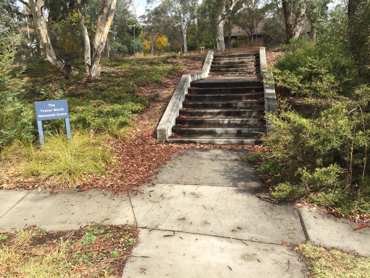 HUBBAS (small) COOK skate spot