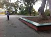 Green Bench