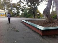 Green Bench
