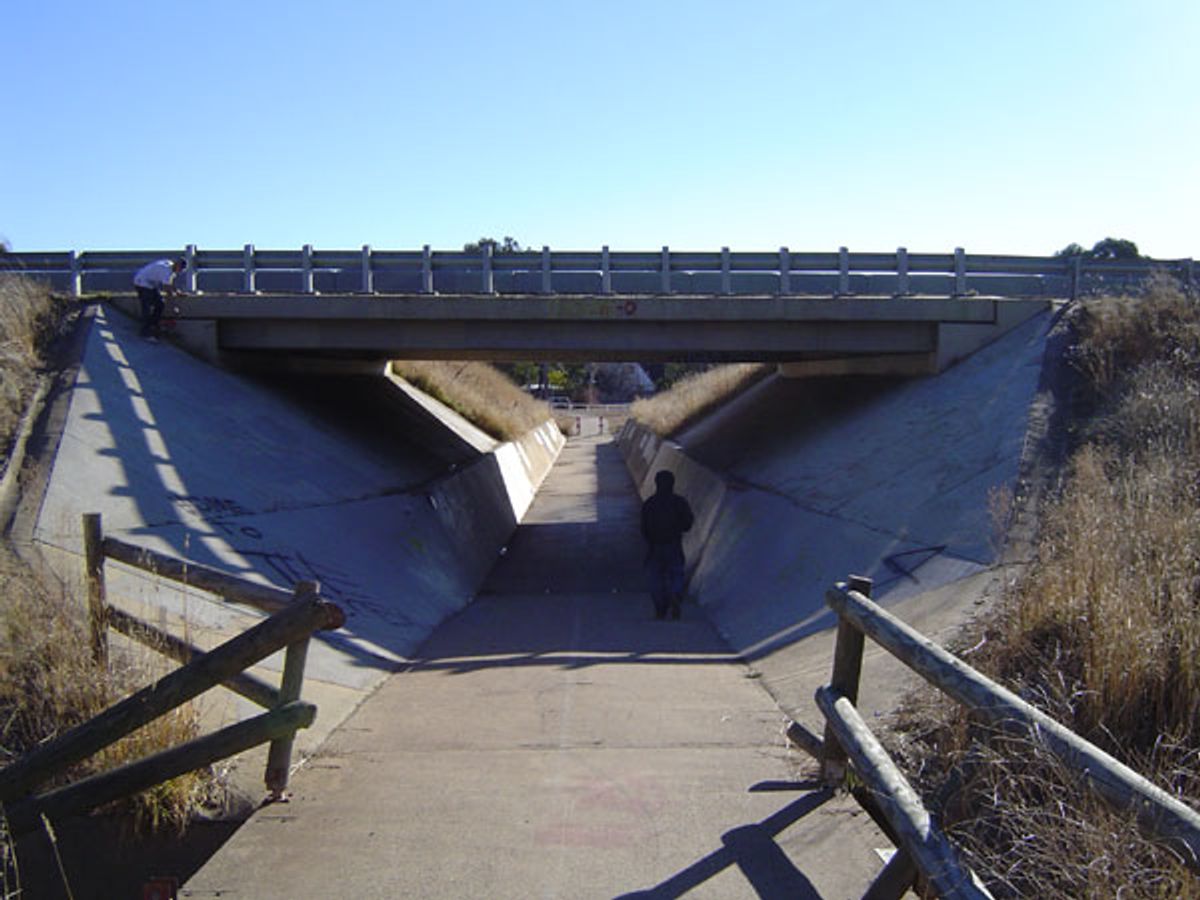 Insanos skate spot