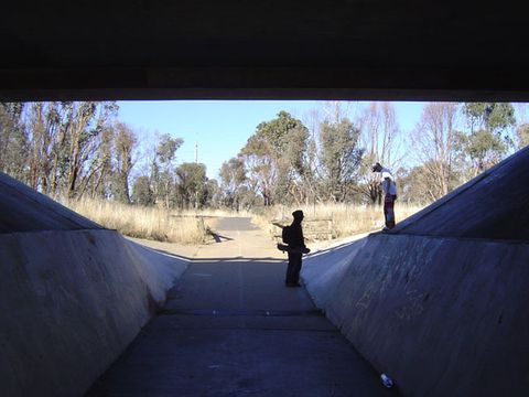 Insanos photo 2