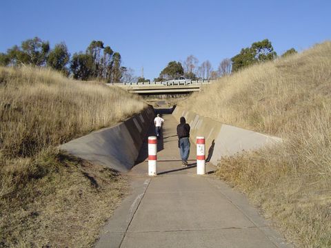 Insanos photo 3