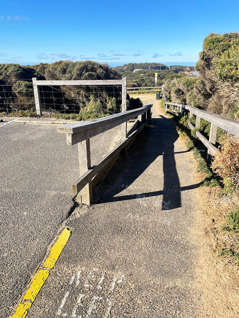 Wooden Rail