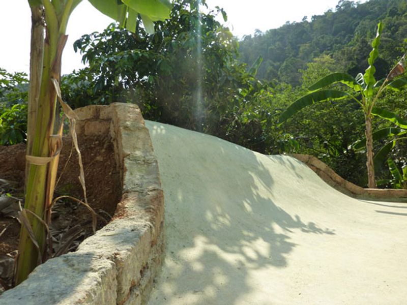 Jasmine Valley Bowl