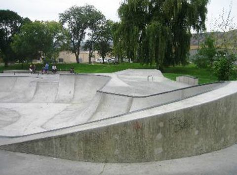 McArthur Island Skatepark photo 2