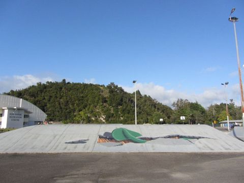 Kawerau Skatepark photo 4
