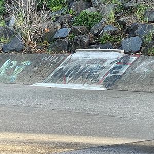 Kooyong Ditch Curb Stop 
