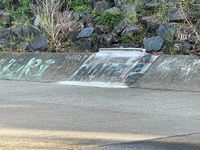 Kooyong Ditch Curb