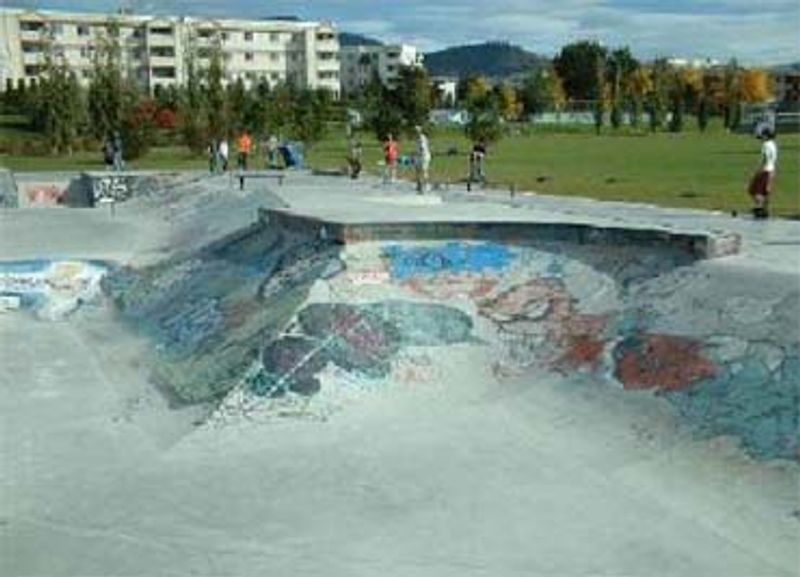 Ben Lee Skatepark 