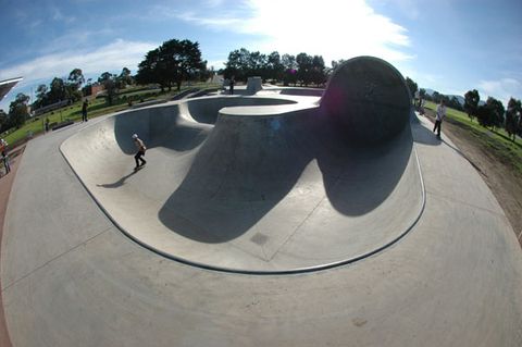 Knox photo 6