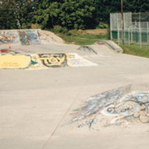 Ladner Skate Park