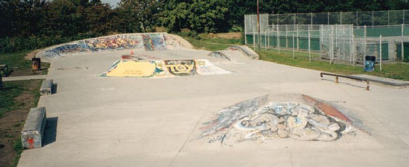 Ladner Skate Park