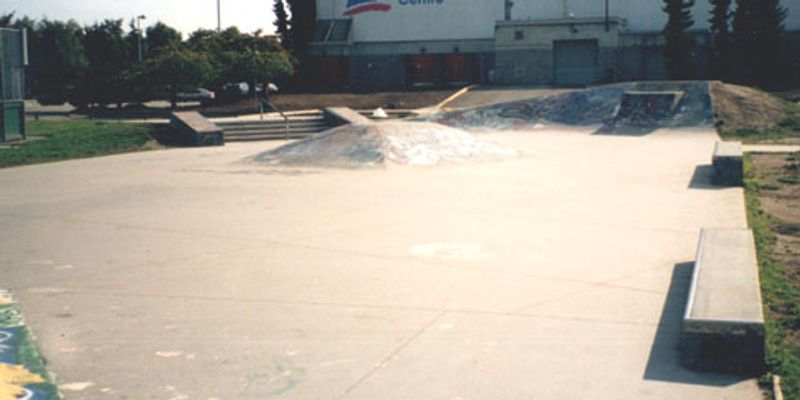 Ladner Skate Park