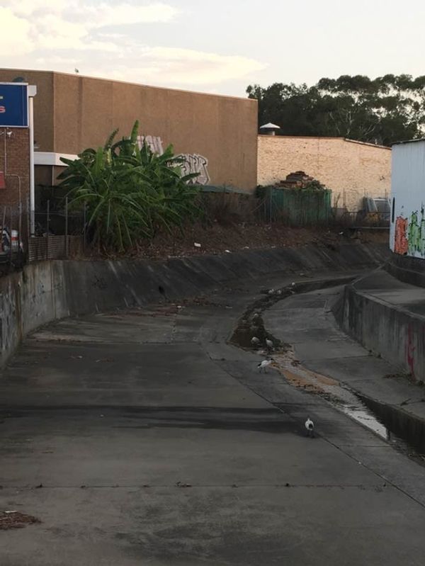 Coxs Creek Ditch