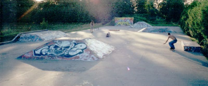 Langley City Skate Park
