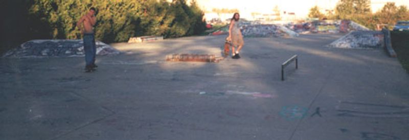 Langley City Skate Park
