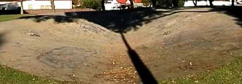 Lidcombe Snake Run photo 4