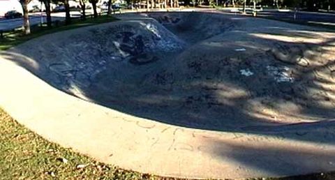 Lidcombe Snake Run photo 5