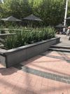 Music Long Ledge 