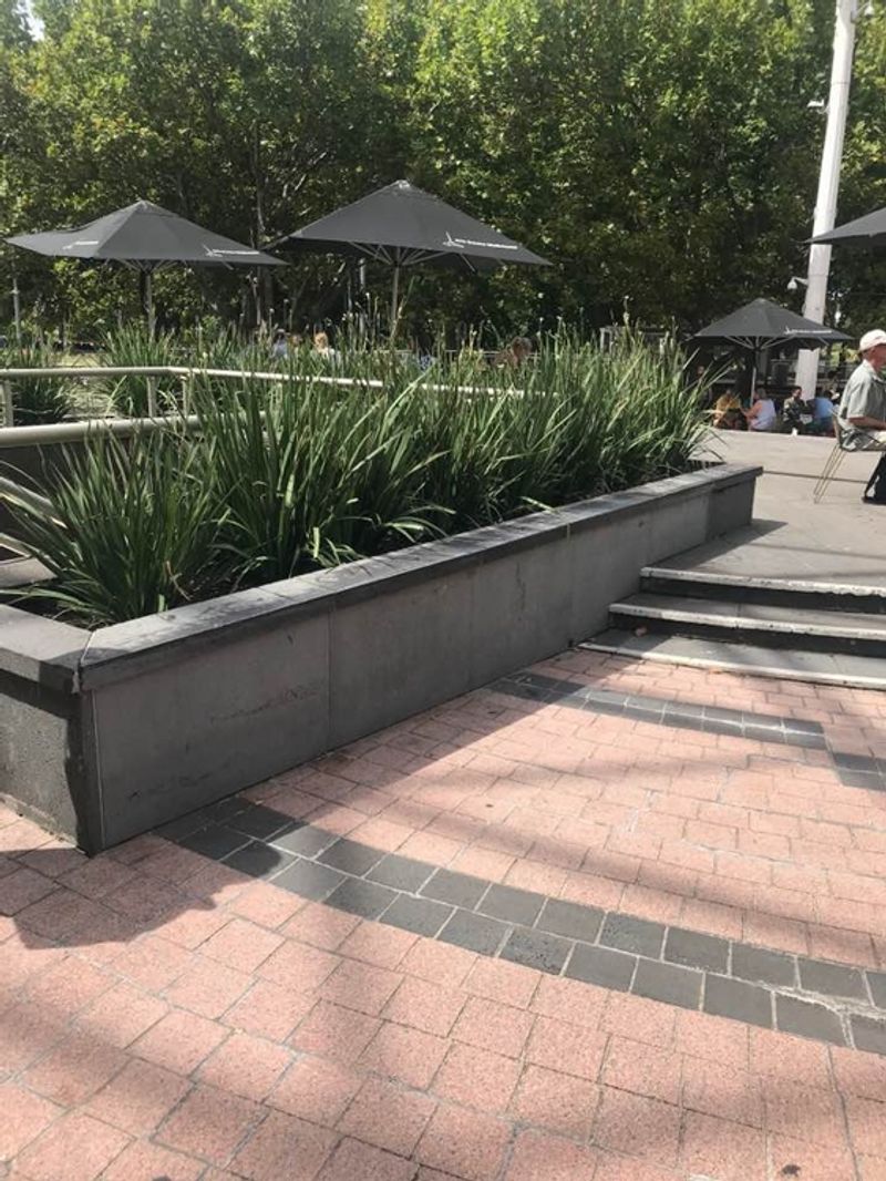 Music Long Ledge 