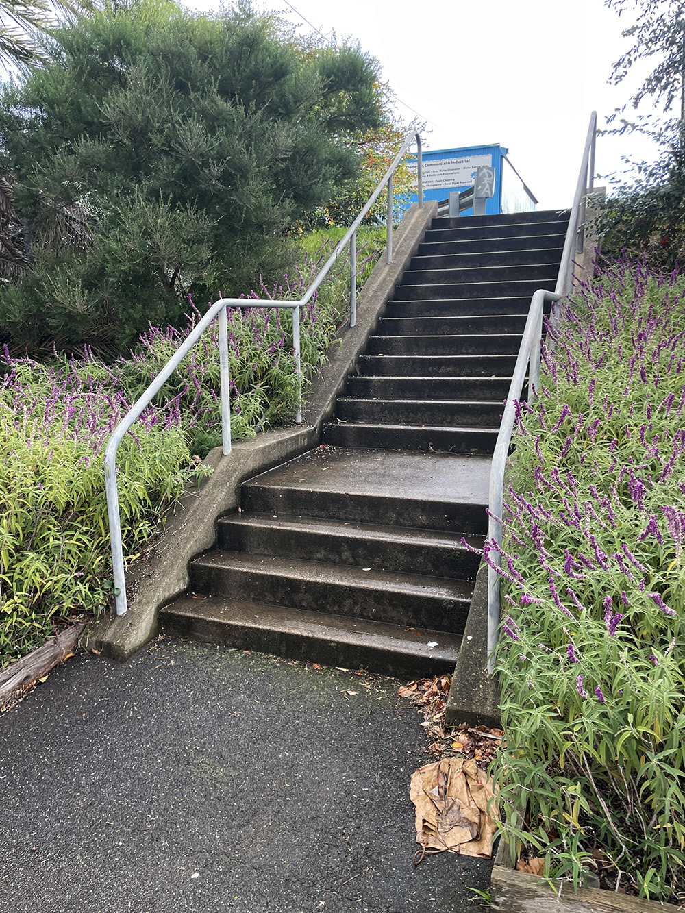 Little Creatures Rail 