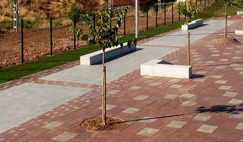 Logrono Skate Plaza photo 3