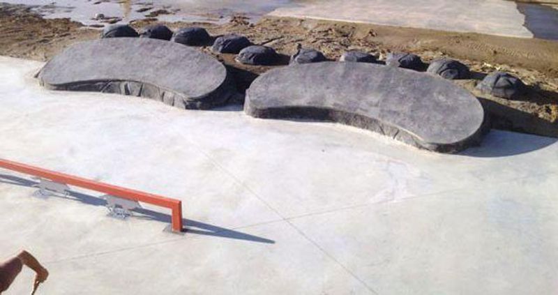 McKenzie Skate Park